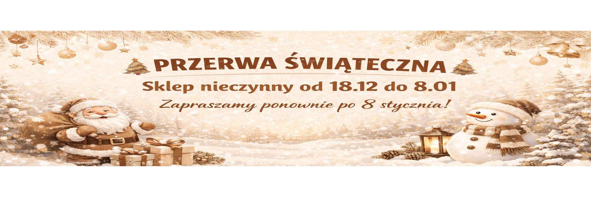 PRZERWA ŚWIĄTECZNA